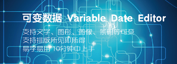 <b>可变数据 Variable Date Editor</b>